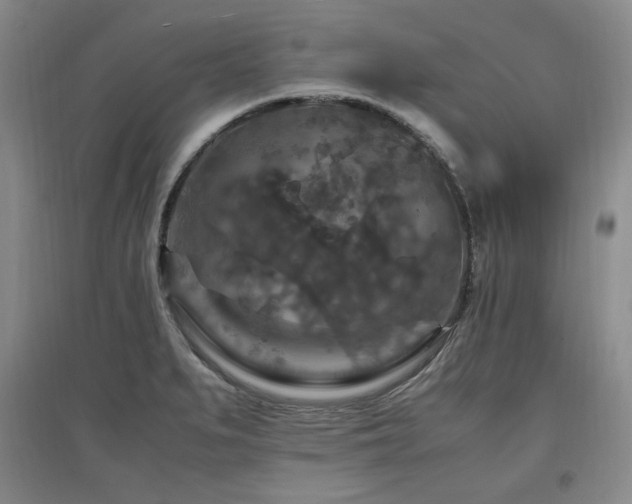 X0000097461279200802221204