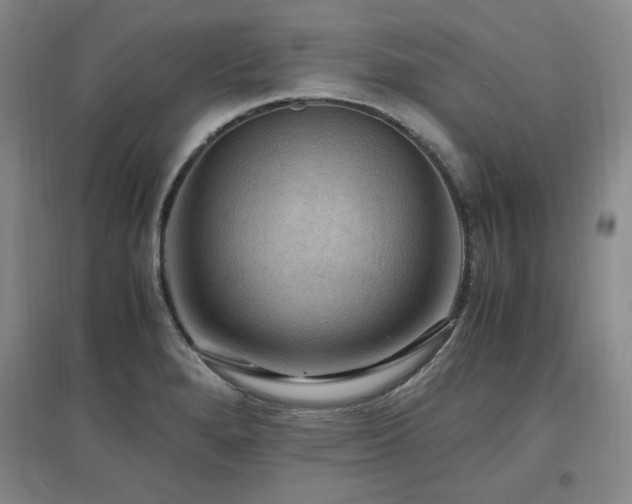 X0000097461280200802221204