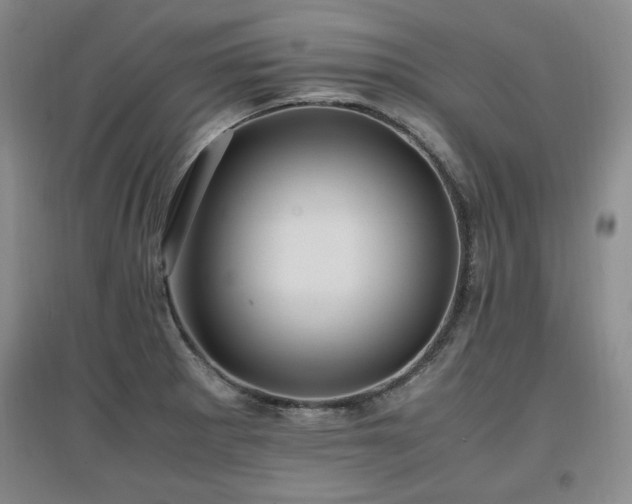 X0000097461281200802221204