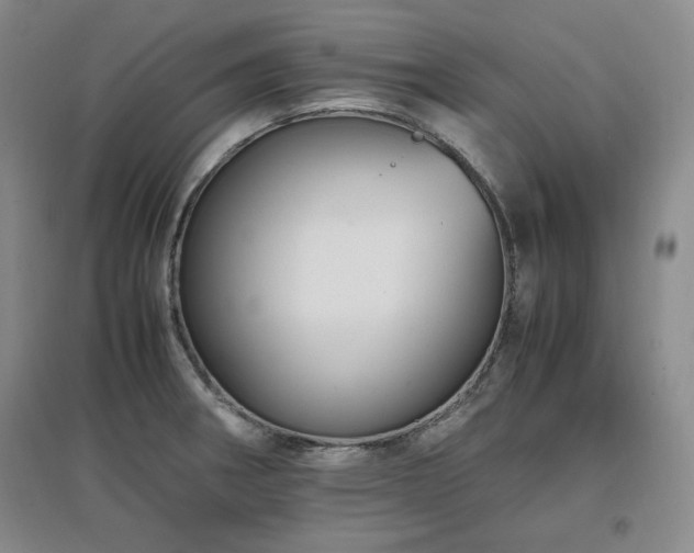 X0000097461282200802221204