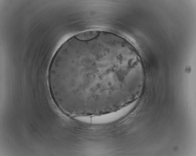 X0000097461283200802221204