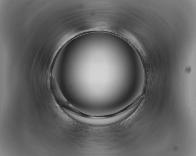 X0000097461284200802221204