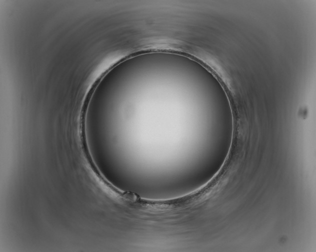 X0000097461285200802221204