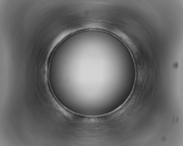 X0000097461286200802221204