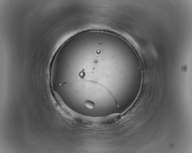 X0000097461287200802221204