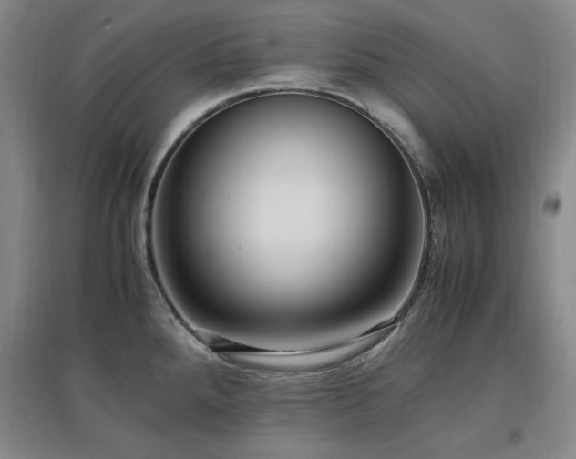 X0000097461288200802221204