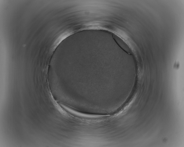 X0000097461289200802221204