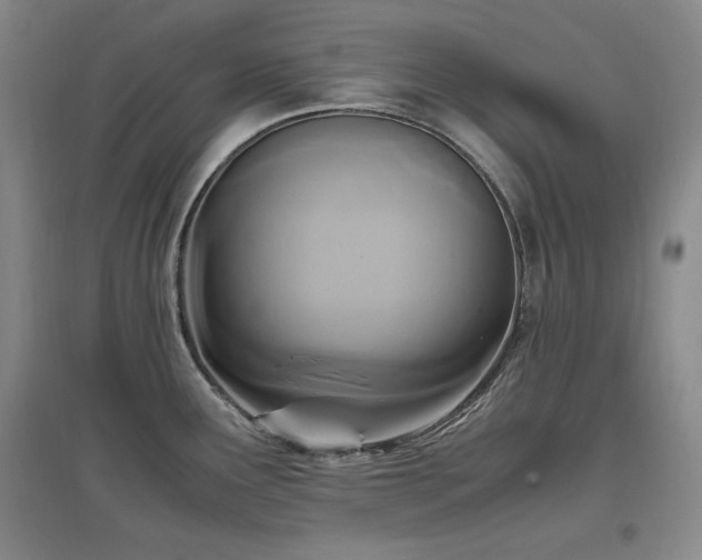 X0000097461291200802221204