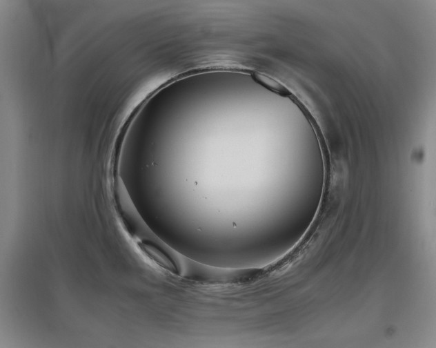 X0000097461293200802221204