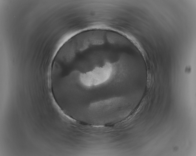 X0000097461295200802221204