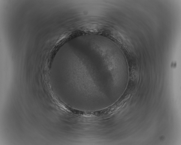 X0000097461297200802221203