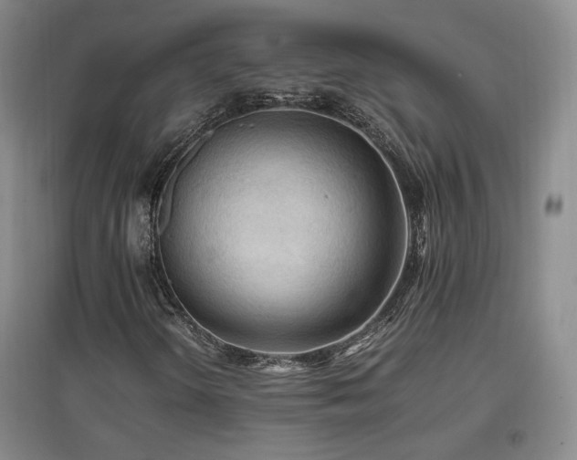 X0000097461298200802221203