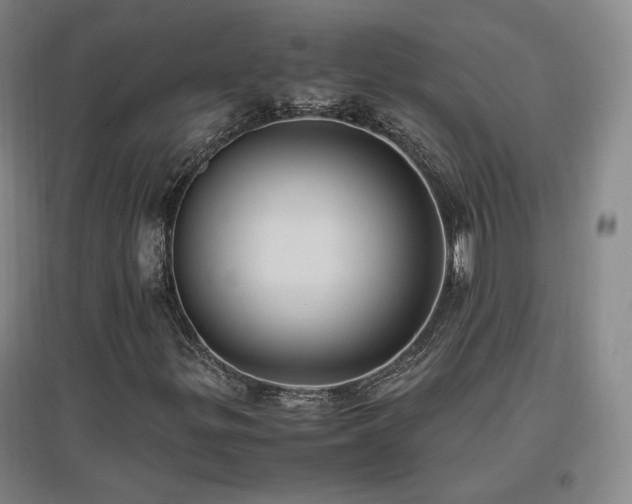 X0000097461299200802221203