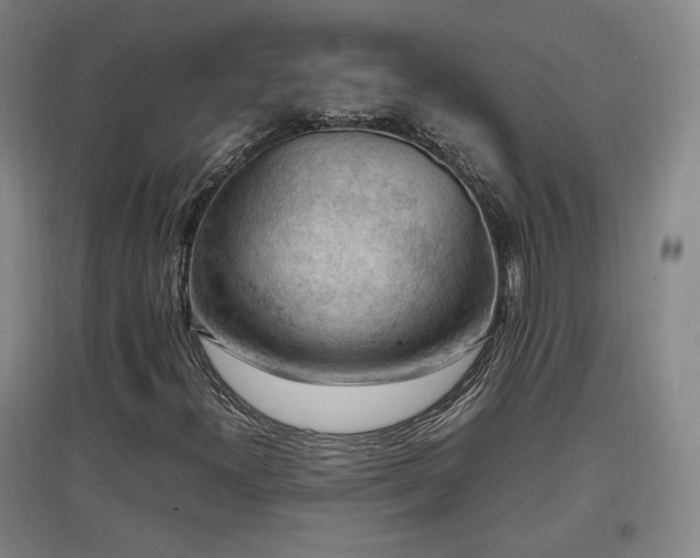 X0000097461300200802221203