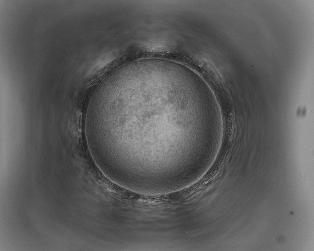 X0000097461301200802221203