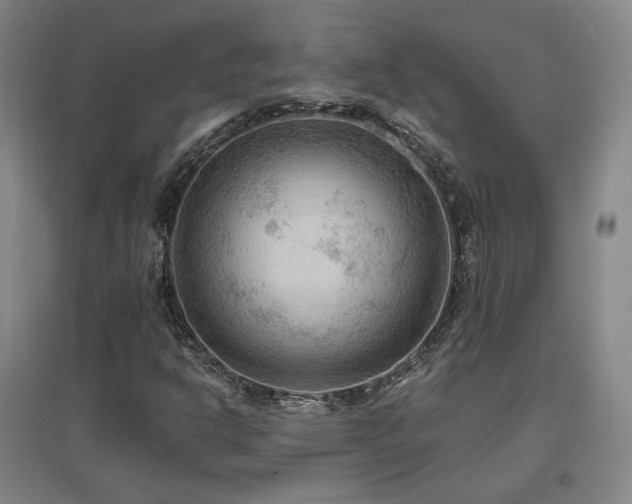 X0000097461302200802221203