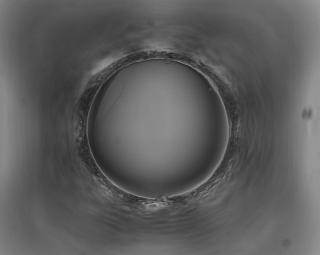 X0000097461303200802221203