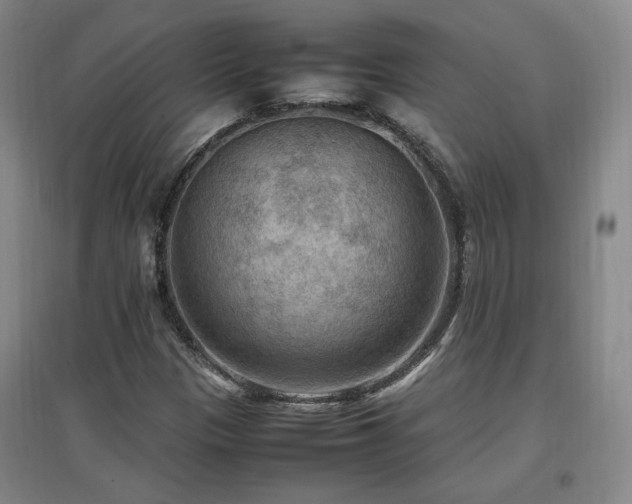 X0000097461305200802221203