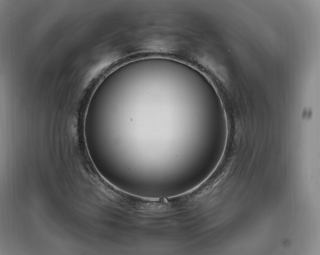 X0000097461307200802221203
