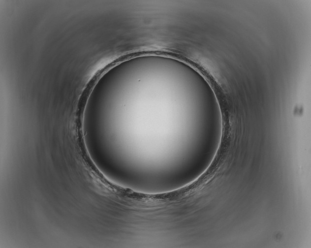 X0000097461308200802221203