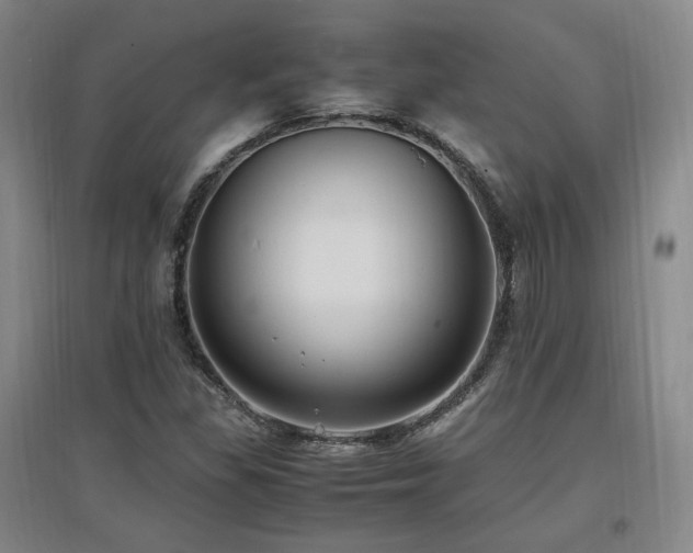 X0000097461309200802221203