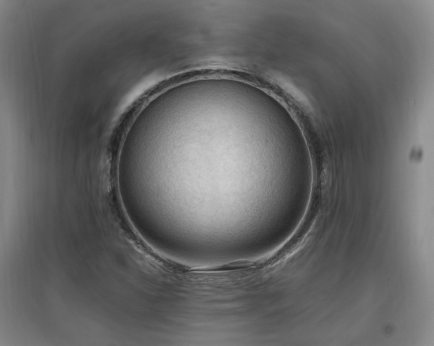 X0000097461310200802221203