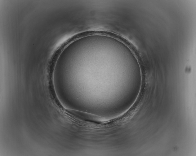 X0000097461311200802221203