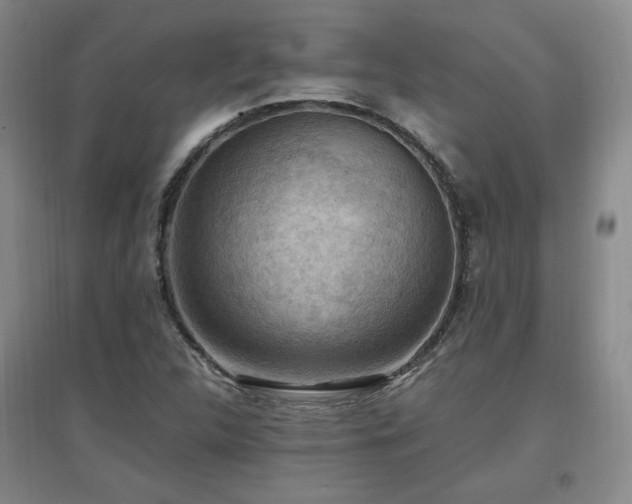 X0000097461312200802221203