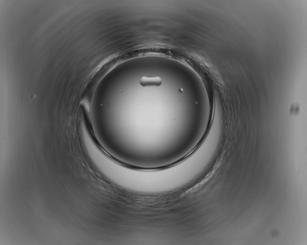 X0000097461313200802221203