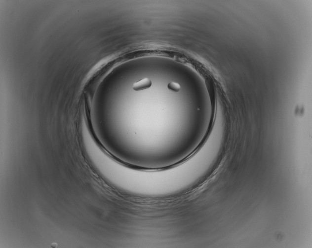 X0000097461314200802221203