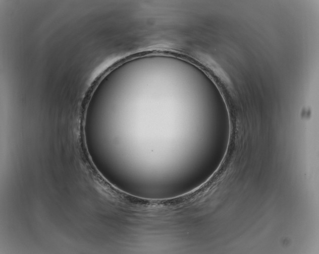X0000097461316200802221203