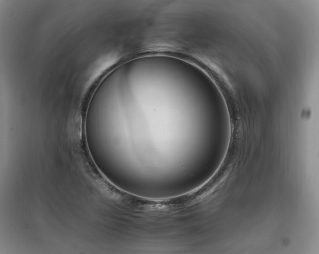 X0000097461317200802221203
