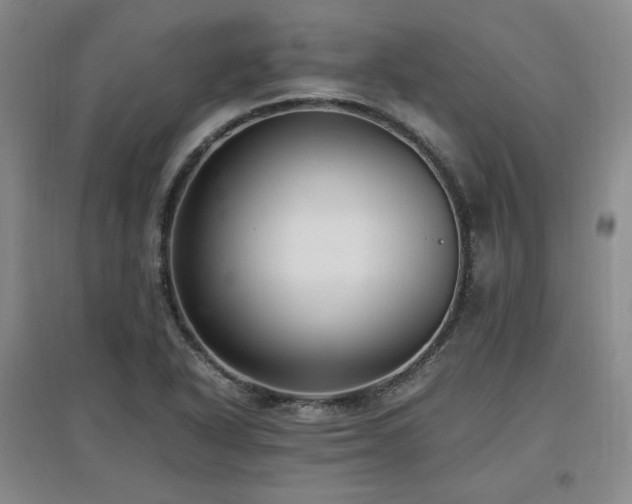 X0000097461318200802221203