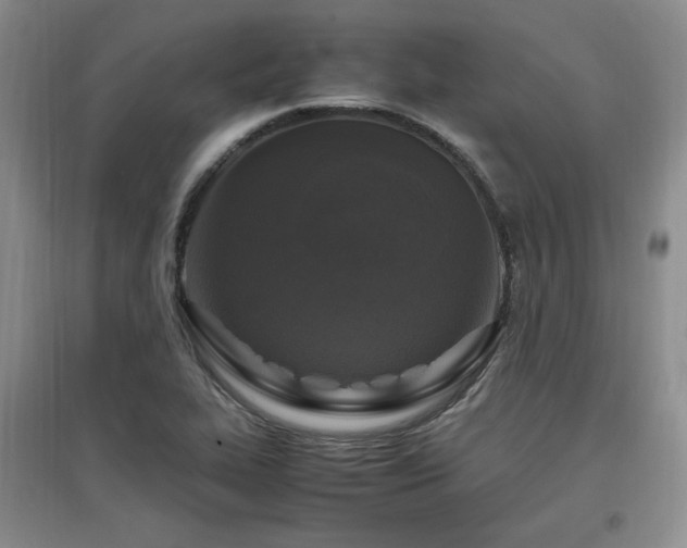 X0000097461319200802221203