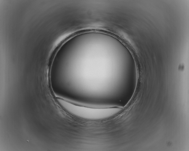 X0000097461320200802221203