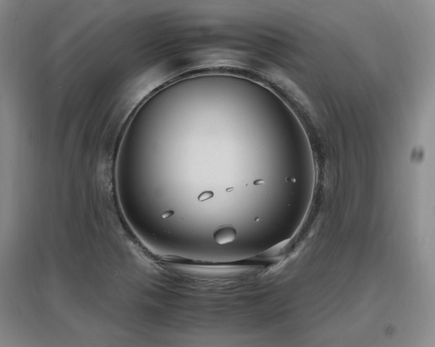 X0000097461321200802221203