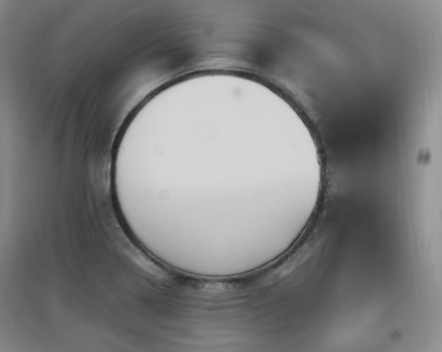 X0000097461322200802221203