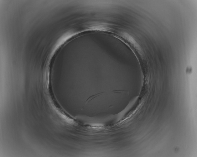 X0000097461323200802221203