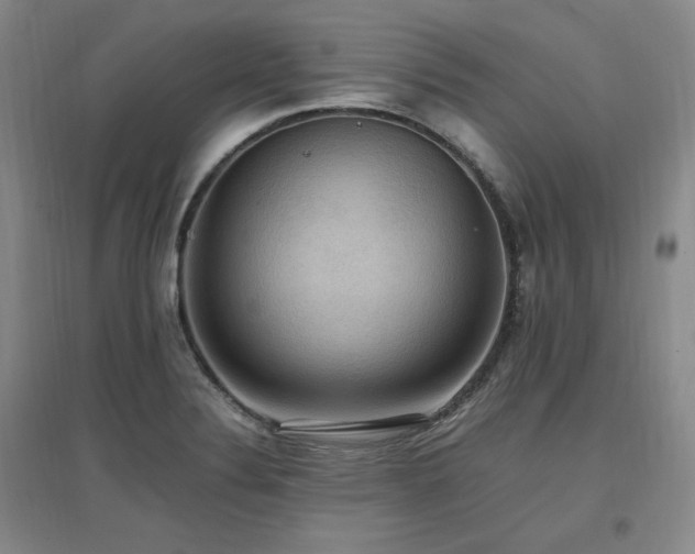 X0000097461324200802221203
