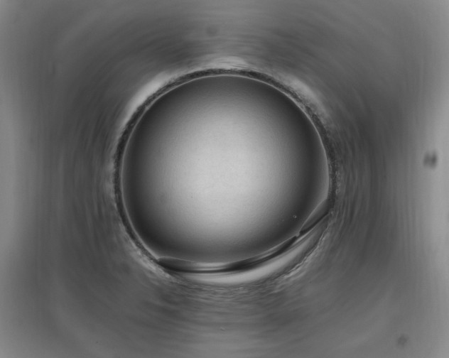 X0000097461326200802221203
