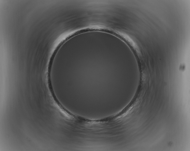 X0000097461327200802221203