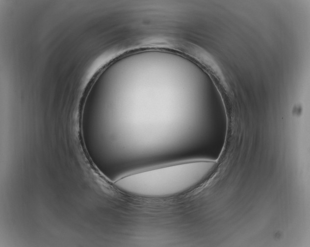 X0000097461328200802221203