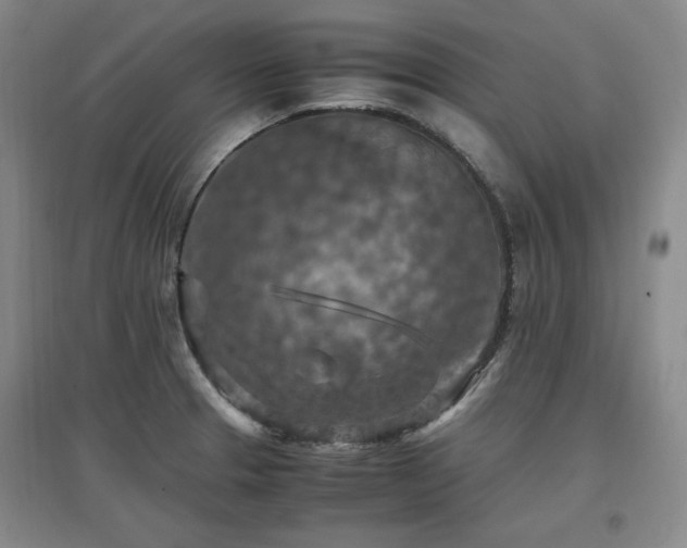 X0000097461329200802221203