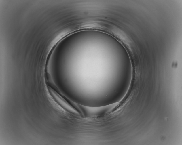 X0000097461330200802221203