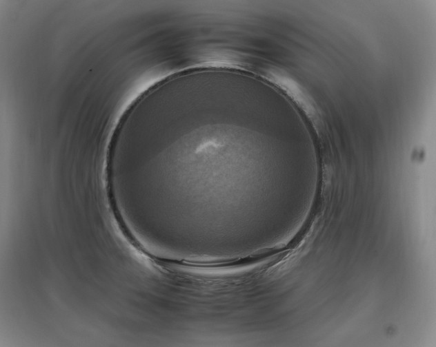 X0000097461331200802221203