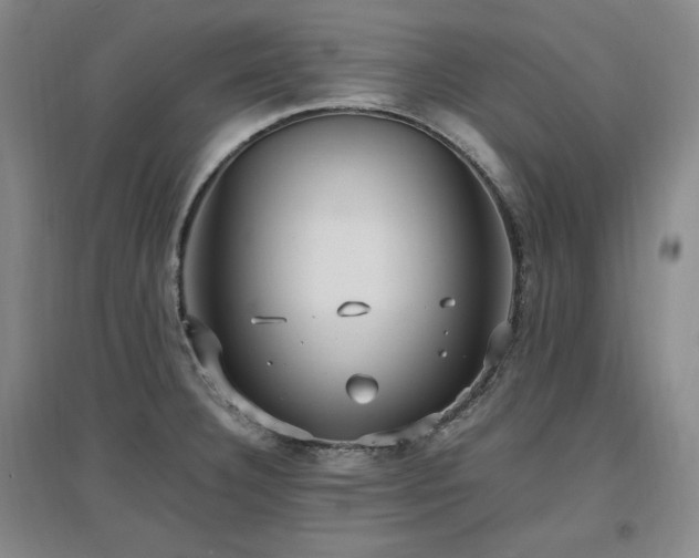X0000097461332200802221203