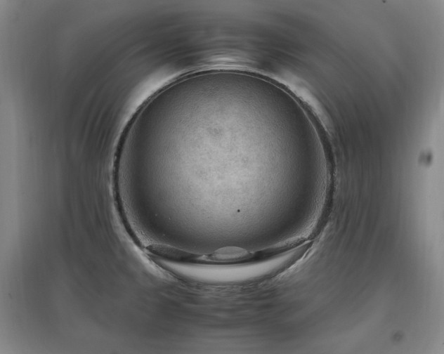 X0000097461333200802221203