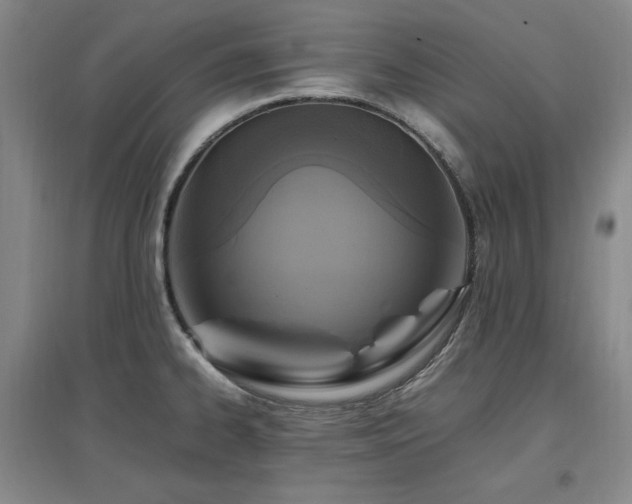 X0000097461334200802221203