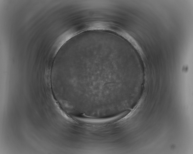 X0000097461337200802221203