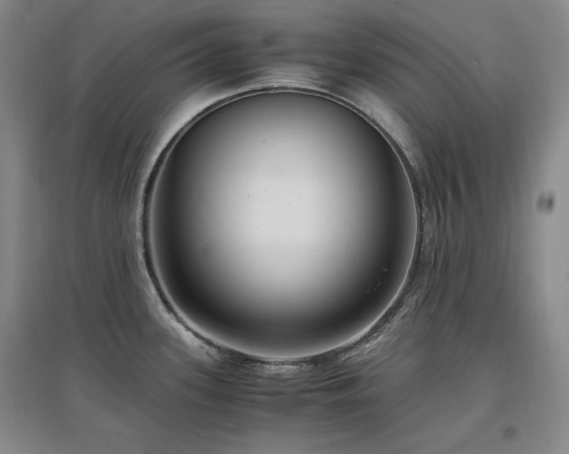 X0000097461339200802221203